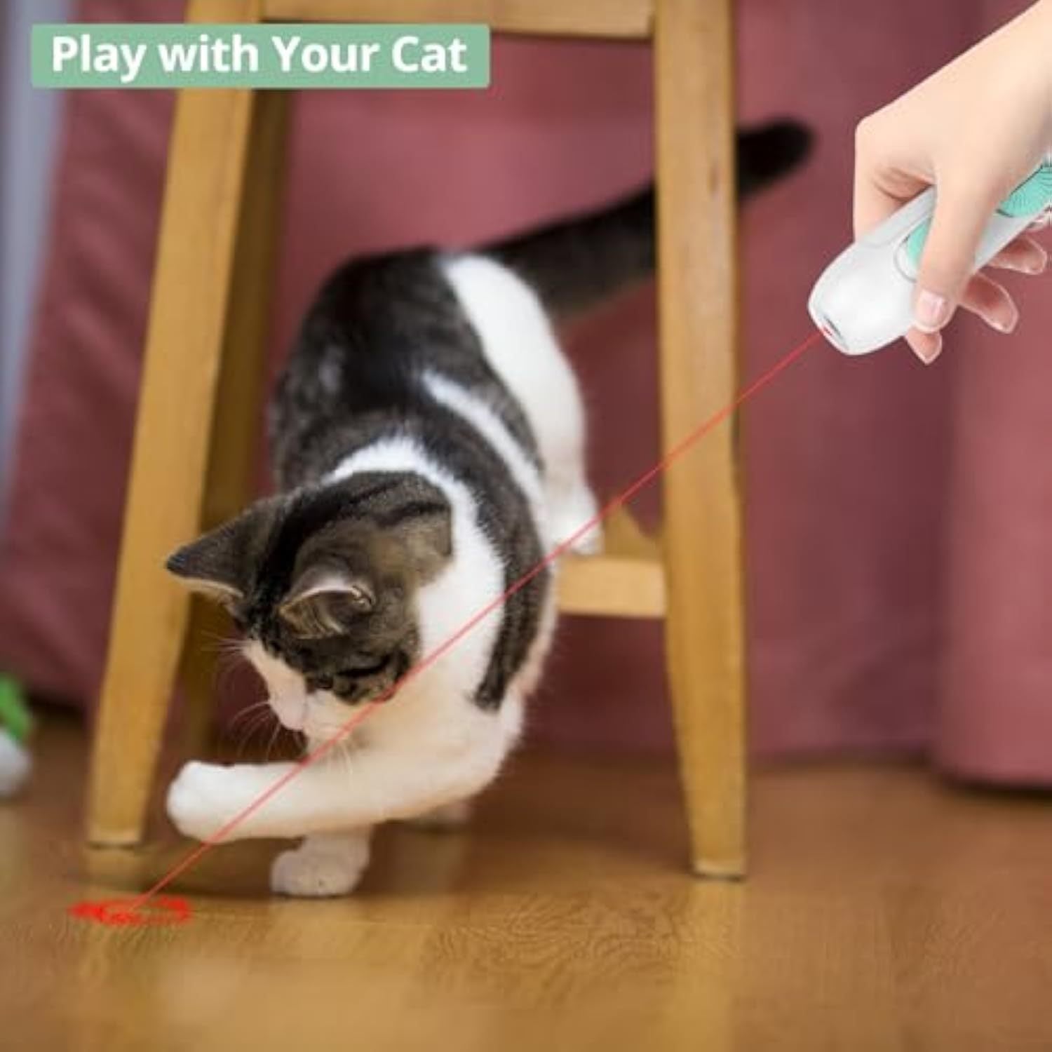 Interactive Cat Laser Toy
